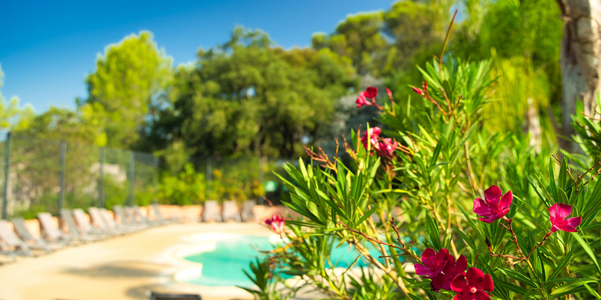 Pour partager des moments vraiment sympas : camping La Pascalinette® !