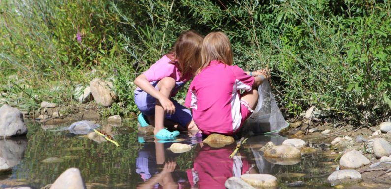 Camping La Grand » Terre : pour des séjours nature tout confort en Ardèche