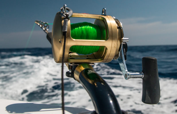 Pêche au gros : au large d’Antibes, vivez des moments forts