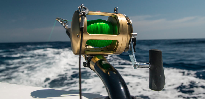 Pêche au gros : au large d’Antibes, vivez des moments forts