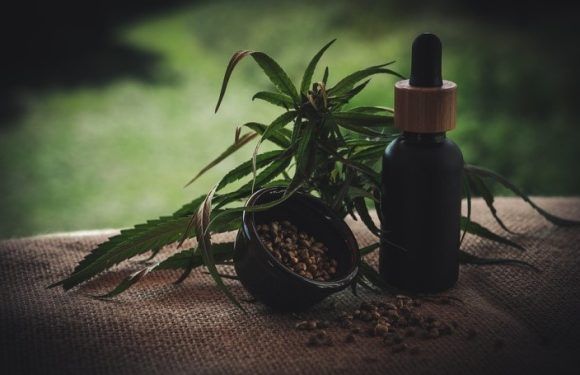 Consommation de CBD : quelques idées reçues à mettre au clair !