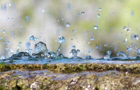 Avec la pompe de relevage pour eaux usées, évacuez les eaux pluviales en toute simplicité