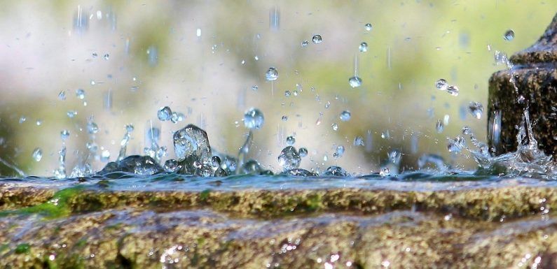 Avec la pompe de relevage pour eaux usées, évacuez les eaux pluviales en toute simplicité