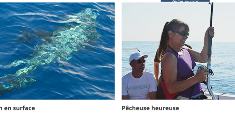 Agréables journées de pêche au gros à vivre en Côte d’Azur !